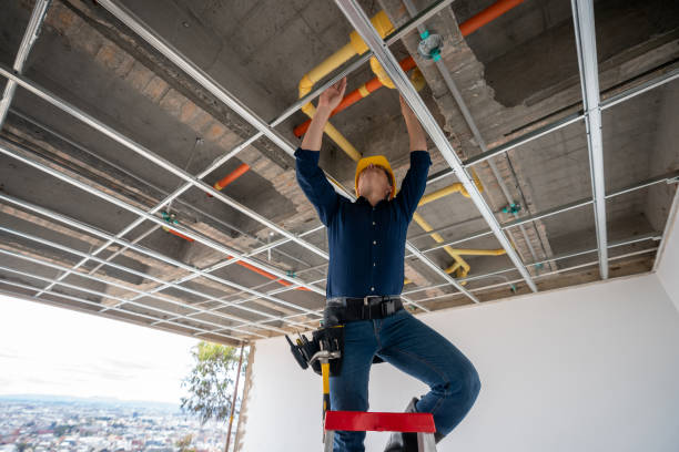Best 24-Hour Plumber Near Me  in Hammond, LA